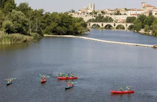 Día del voluntariado Castilla y León 2017 Iberdrola