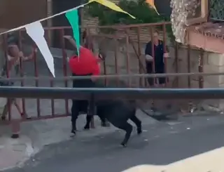 Momento en el que un toro hiere a una persona en Villarino de los Aires