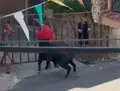 Momento en el que un toro hiere a una persona en Villarino de los Aires