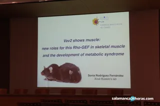 Centro de Investigación del Cáncer (6)