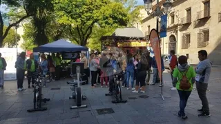 Pedaleando por el empleo