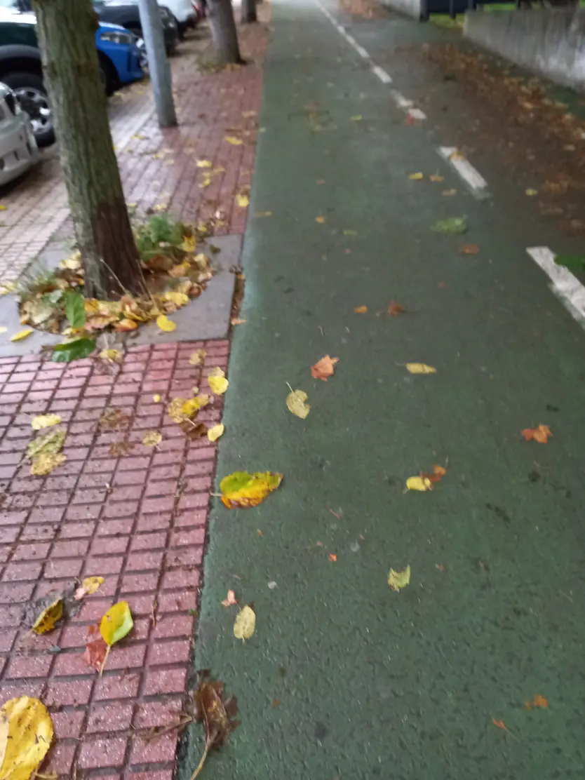 Paseo Francisco Tomás y Valiente