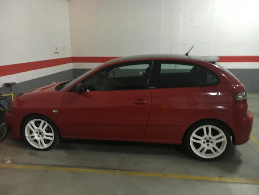 Seat Ibiza Cupra Robado En Castellanos De Moricos