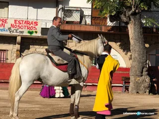 Espectáculo folclórico andaluz ecuestre Villarino (3)