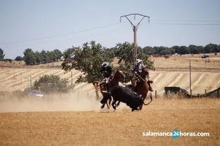 Acoso y Derribo (89)