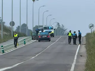 Atropello mortal en la carretera de Fuentesaúco, junto a la urbanización de las Bizarricas. Foto Belén Hurtado