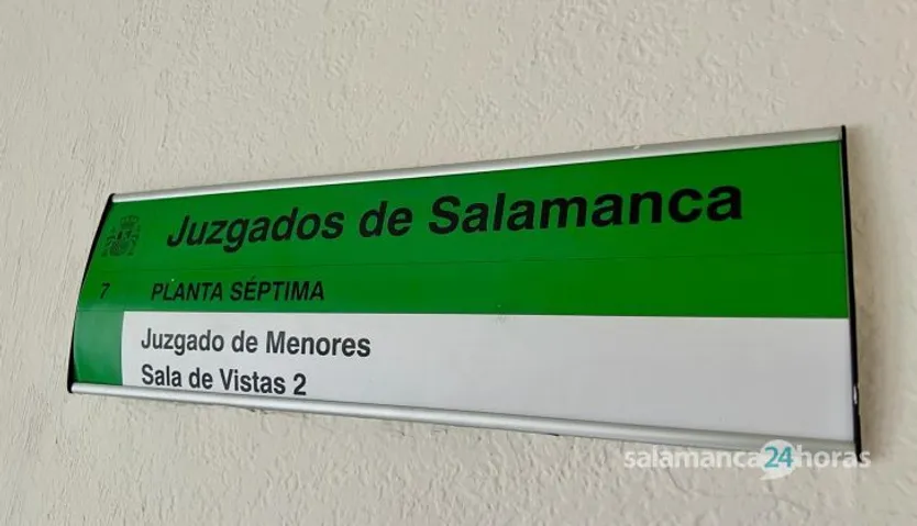 Juzgados de menores en Salamanca en el paseo del Doctor Torres Villarroel. Foto S24H