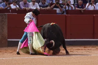 Mano mano entre Morante de la Puebla y Marco Pérez por San Juan de Sahagún en Salamanca: imágenes del festejo