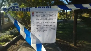 Guijuelo fumigar procesionaria