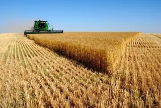 Críticas de la Alianza a una “claúsula injusta” de Agroseguro que prova a los agricultores del cobro de 14 millones