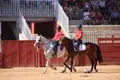 Exhibición caballo pura raza 
