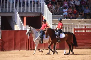Exhibición caballo pura raza 