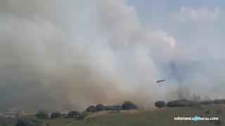 Incendio Lagunilla (4)