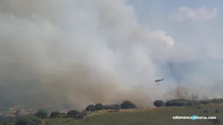 Incendio Lagunilla (4)