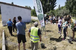 Una docena de personas han participado este sábado en la iniciativa Arbola en Rágama