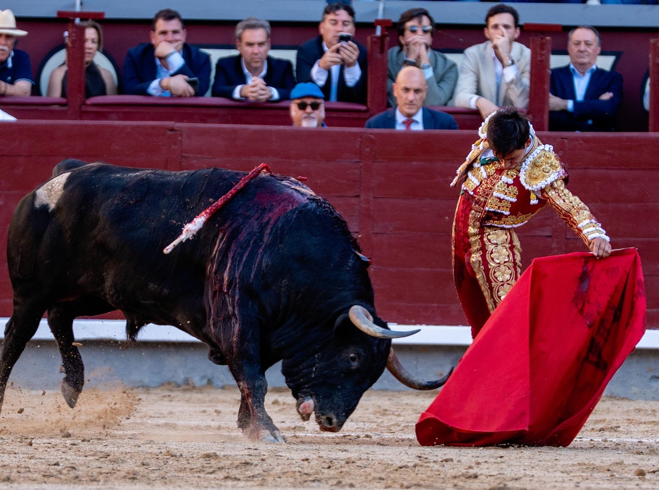 Ismael Mart&iacute;n Toreando El D&iacute;a De Su Confirmaci&oacute;n De Alternativa En Las Ventas En La Temporada 2026 | Foto &Aacute;lvarez
