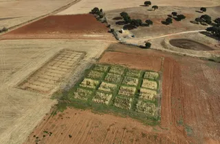 Agricultura regenerativa en Muñovela