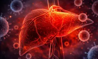 USAL e IBSAL lideran los apartados de biomarcadores y preclínica en el ‘Consenso Internacional del cáncer biliar' | COMUNICACIÓN UNIVERSIDAD