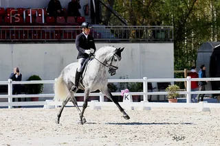 Molinero fs cdn segovia yeguada arroyomonte doma clasica