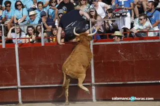 Vaquillas Villares (31)