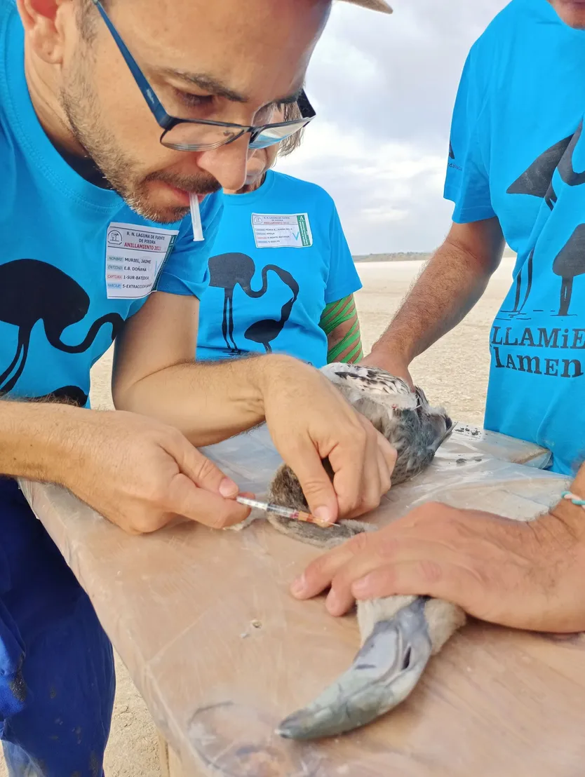 Jaime Muriel, profesor ayudante doctor en el Departamento de Zoología de la Universidad de Córdoba e integrante del Grupo de investigación en educación y gestión de la biodiversidad (GESBIO)