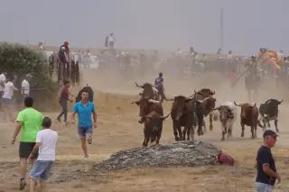 Espantos en los Corpus de Ledesma. Archivo 