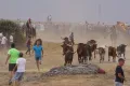 Espantos en los Corpus de Ledesma. Archivo
