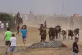 Espantos en los Corpus de Ledesma. Archivo