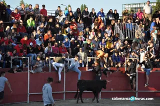 Santa Marta Aguardiente (68)