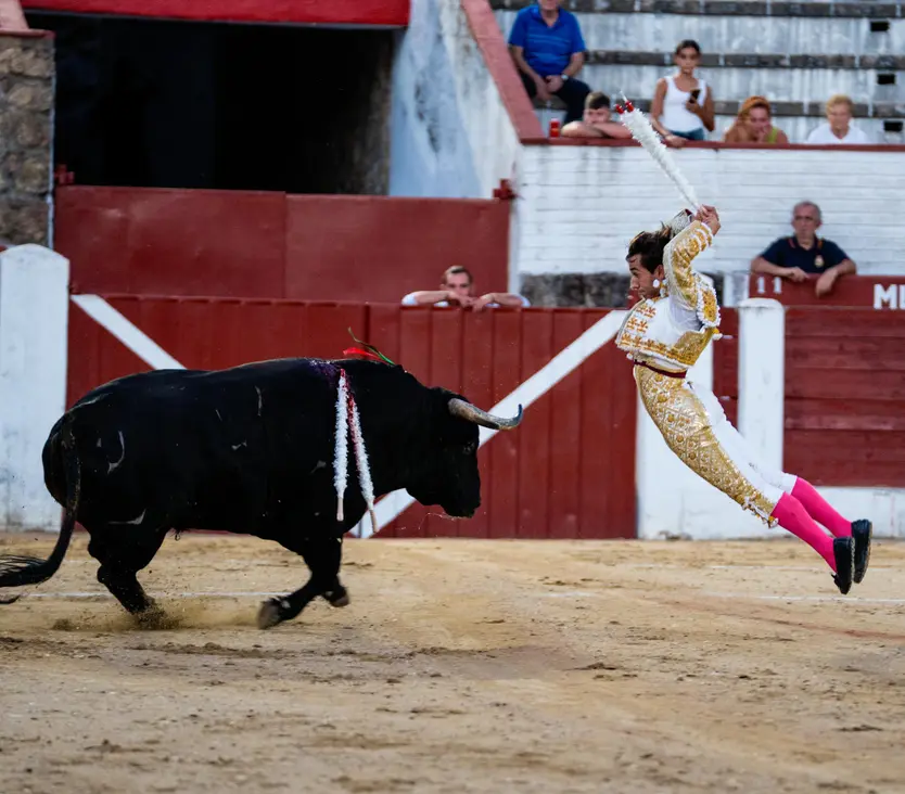 Ismael Martín Poniendo Un Par De Banderillas a Un Toro De Castillejo De Huebra En La Plaza De Arenas De San Pedro | Foto Álvarez