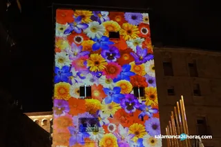 Luz vanguardias (65)