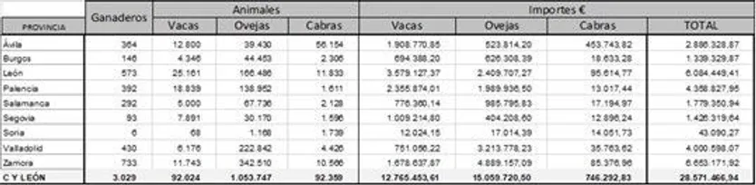 Imagen1