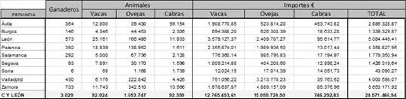 Imagen1