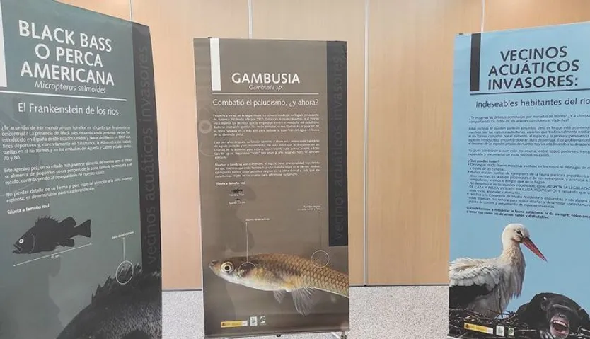 Exposición de animales acuáticos