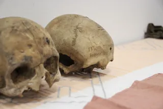 Dos calaveras humanas con agujeros de bala del S. XVII. Patrimonio almacenado en una nave