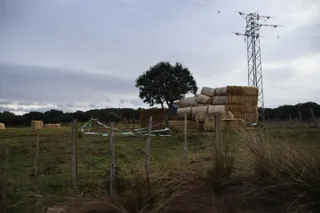 Finca Cantarranas donde se encontró el cuerpo de Álvaro Pérez en Ciudad Rodrigo