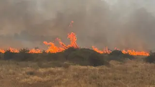 Se reactiva el incendio en un solar junto al CEIP San Blas en Santa Marta de Tormes