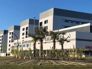 Al nuevo hospital le crecen palmeras
