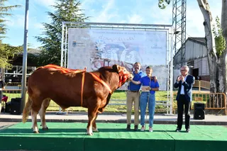 Exposición de Ganado Puro de la Feria Salamaq 22