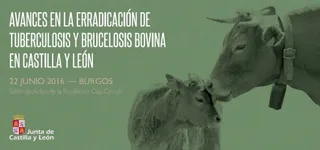 Jornada para analizar los avances en la erradicación de tuberculosis y brucelosis bovina en Castilla y León