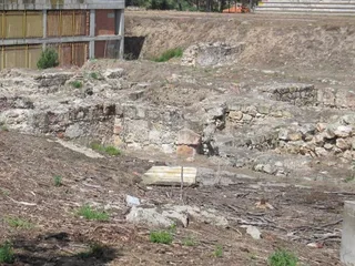Ciudadanos del Patrimonio denuncia la alteración, destrucción y saqueo de El Botánico