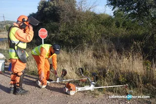 Trabajos forestales.