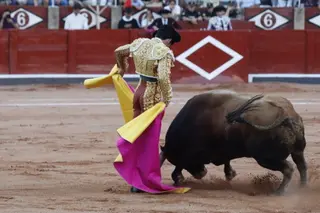 David de Miranda ante el sexto toro de Domingo Hernández en Salamanca | Asier Galache
