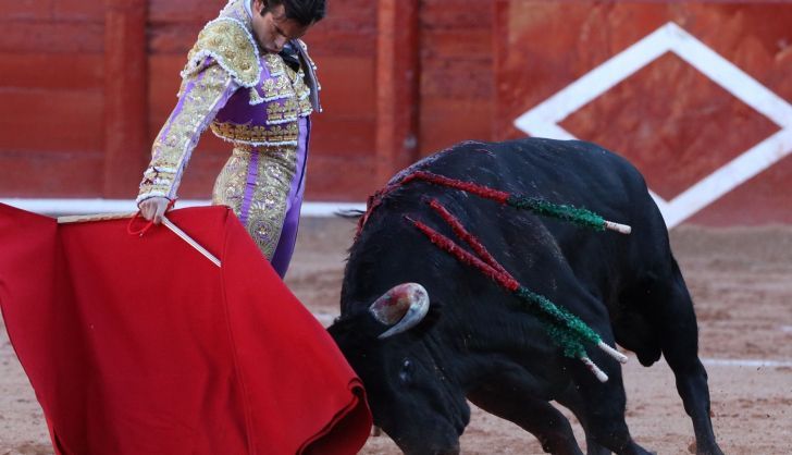 Derechazo de Alejandro Marcos