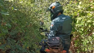 Seprona Guardia Civil de Salamanca | Guardia Civil de Salamanca