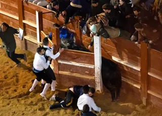 Concurso de recortes nocturno en el Carnaval del Toro de Ciudad Rodrigo | ICAL