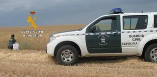 La Guardia Civil investiga a nueve agricultores por uso inapropiado de semillas
