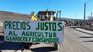 El porqué de la España vaciada: Diferencias de hasta un 600% entre el precio que reciben agricultores y ganaderos y lo que pagan los consumidores