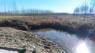 Laguna de la Dehesa en Alba de Tormes