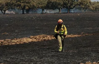 GALERÍA Incendio forestal intencionado en Campillo de Azaba. Fotos José Vicente | ICAL